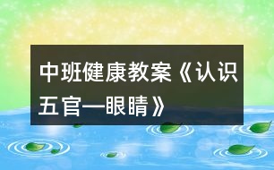 中班健康教案《認識五官―眼睛》