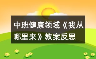 中班健康領(lǐng)域《我從哪里來》教案反思