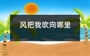 風把我吹向哪里