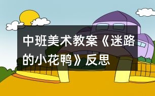 中班美術(shù)教案《迷路的小花鴨》反思