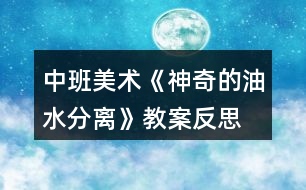 中班美術(shù)《神奇的油水分離》教案反思