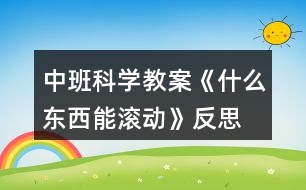 中班科學(xué)教案《什么東西能滾動(dòng)》反思