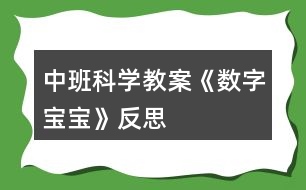 中班科學(xué)教案《數(shù)字寶寶》反思