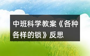 中班科學(xué)教案《各種各樣的鎖》反思