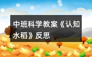 中班科學(xué)教案《認(rèn)知水稻》反思