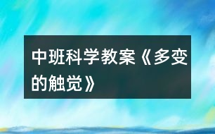 中班科學(xué)教案《多變的觸覺(jué)》