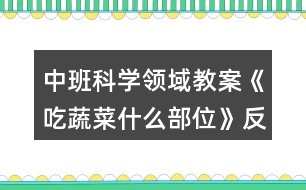 中班科學領域教案《吃蔬菜什么部位》反思