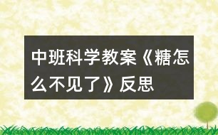 中班科學(xué)教案《糖怎么不見了》反思