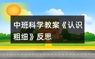 中班科學教案《認識粗細》反思