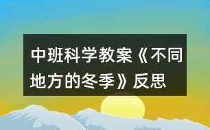 中班科學(xué)教案《不同地方的冬季》反思