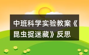 中班科學(xué)實(shí)驗(yàn)教案《昆蟲捉迷藏》反思