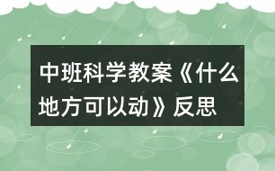 中班科學(xué)教案《什么地方可以動(dòng)》反思