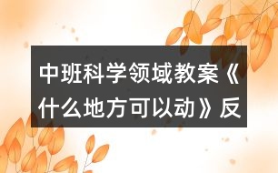 中班科學領(lǐng)域教案《什么地方可以動》反思