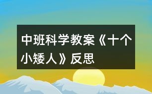 中班科學(xué)教案《十個小矮人》反思