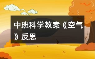 中班科學(xué)教案《空氣》反思