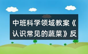 中班科學(xué)領(lǐng)域教案《認(rèn)識(shí)常見的蔬菜》反思