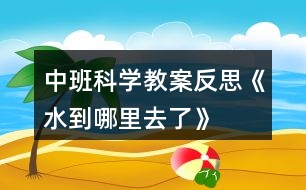 中班科學教案反思《水到哪里去了》