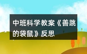 中班科學(xué)教案《善跳的袋鼠》反思