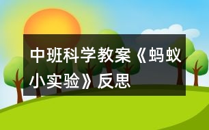 中班科學(xué)教案《螞蟻小實(shí)驗(yàn)》反思