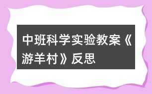 中班科學實驗教案《游羊村》反思