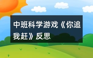 中班科學游戲《你追我趕》反思