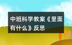 中班科學教案《里面有什么》反思