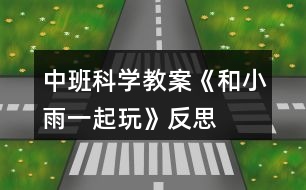 中班科學教案《和小雨一起玩》反思