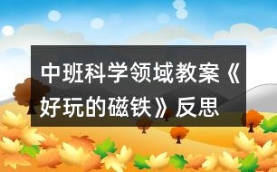 中班科學(xué)領(lǐng)域教案《好玩的磁鐵》反思