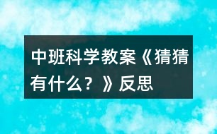 中班科學(xué)教案《猜猜有什么？》反思