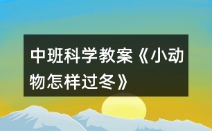 中班科學(xué)教案《小動(dòng)物怎樣過冬》