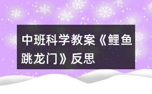 中班科學(xué)教案《鯉魚跳龍門》反思