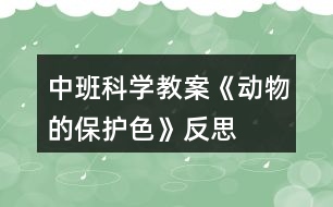 中班科學(xué)教案《動(dòng)物的保護(hù)色》反思