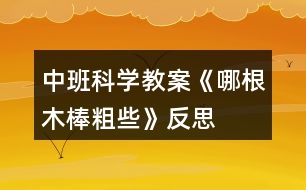 中班科學(xué)教案《哪根木棒粗些》反思