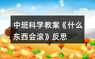 中班科學(xué)教案《什么東西會滾》反思