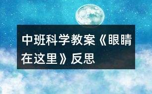 中班科學教案《眼睛在這里》反思