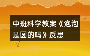 中班科學(xué)教案《泡泡是圓的嗎》反思