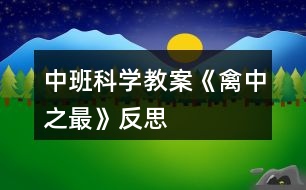 中班科學(xué)教案《禽中之最》反思