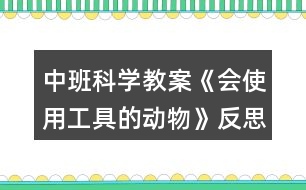 中班科學(xué)教案《會(huì)使用工具的動(dòng)物》反思