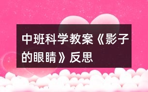 中班科學(xué)教案《影子的“眼睛”》反思