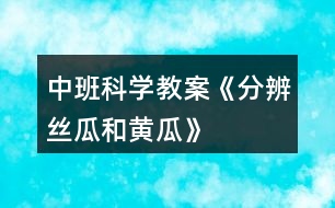 中班科學(xué)教案《分辨絲瓜和黃瓜》