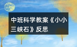 中班科學教案《小小三峽石》反思