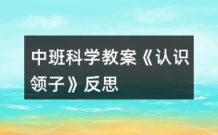 中班科學(xué)教案《認(rèn)識(shí)領(lǐng)子》反思