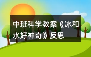 中班科學(xué)教案《冰和水好神奇》反思