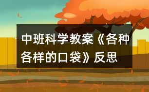 中班科學教案《各種各樣的口袋》反思