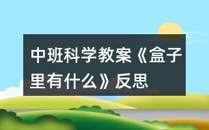 中班科學(xué)教案《盒子里有什么》反思