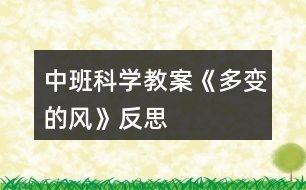 中班科學教案《多變的風》反思