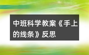 中班科學(xué)教案《手上的線條》反思