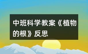 中班科學(xué)教案《植物的根》反思