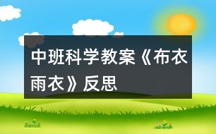 中班科學(xué)教案《布衣雨衣》反思