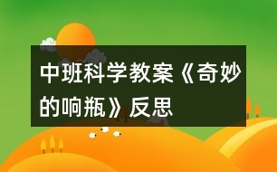 中班科學(xué)教案《奇妙的響瓶》反思